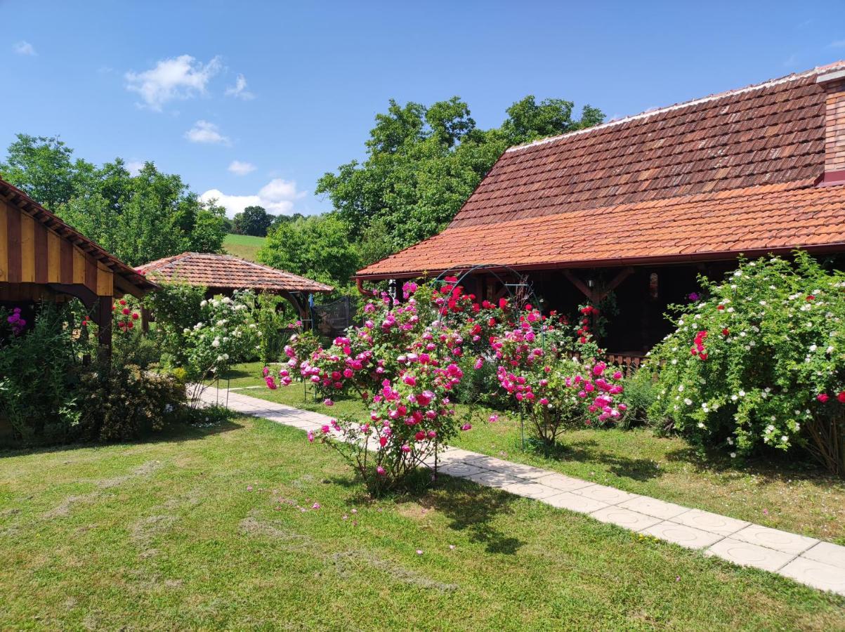 Pod Orehom Drvena Kuca I Sauna Krapina Exterior foto